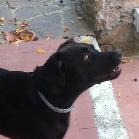 B.e.a. Maison Bed and breakfast 3*