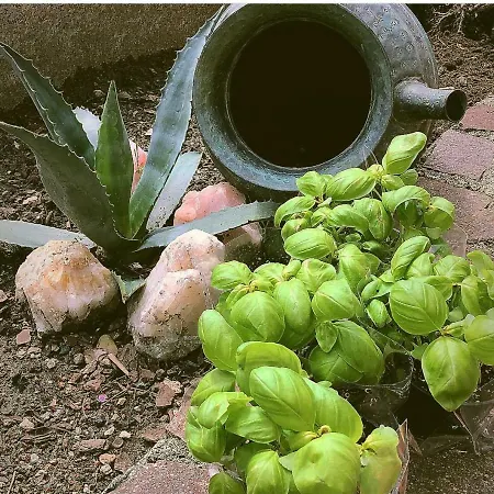 Bed and breakfast B.e.a. Maison La Spezia