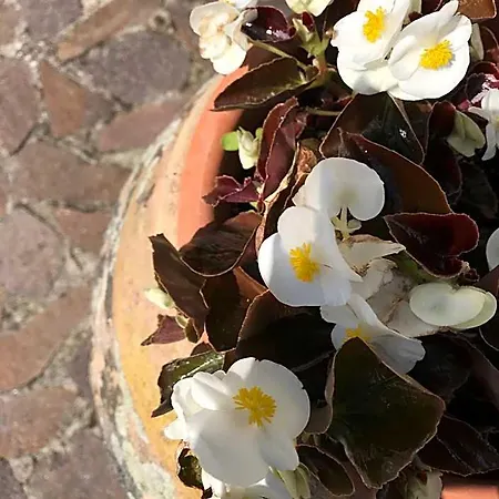 Bed & Breakfast B.e.a. Maison La Spezia