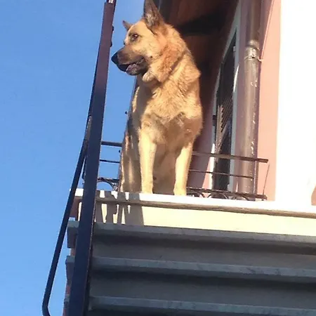 B.e.a. Maison B&B 라스페치아