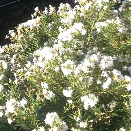 B.e.a. Maison 라스페치아