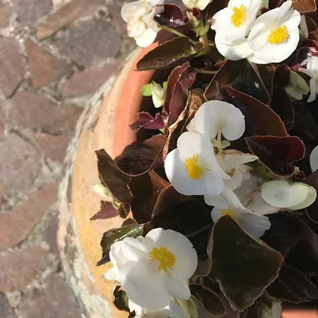 Alojamento de Acomodação e Pequeno-almoço B.e.a. Maison 3*