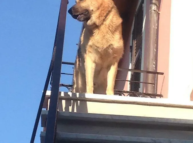 B.e.a. Maison Bed and breakfast La Spezia