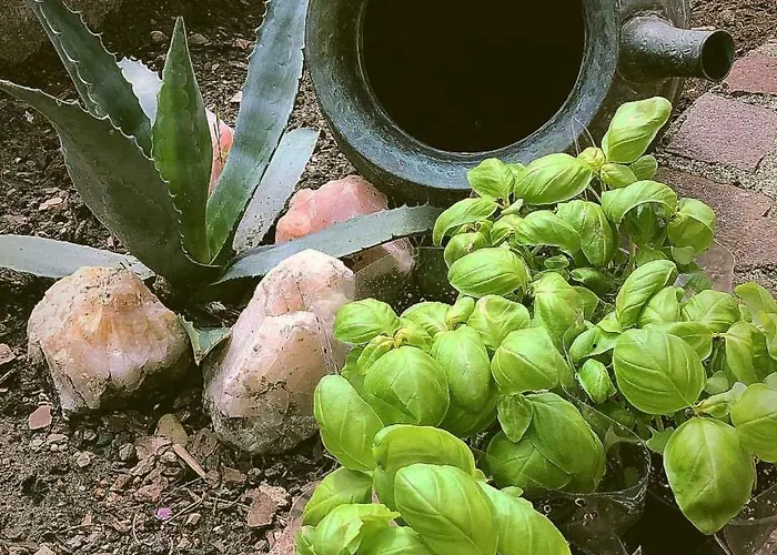 Bed and breakfast B.e.a. Maison La Spezia