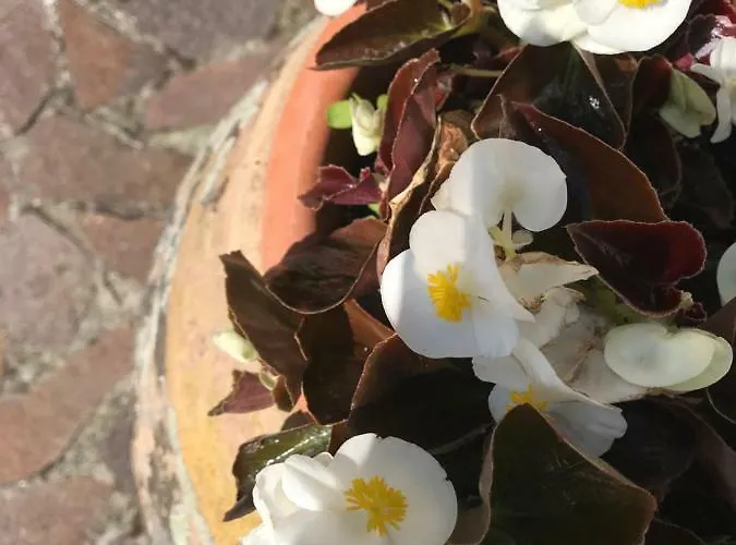 Bed and breakfast B.e.a. Maison 3*