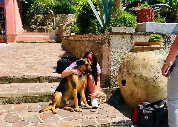 B.e.a. Maison Bed and breakfast 3*